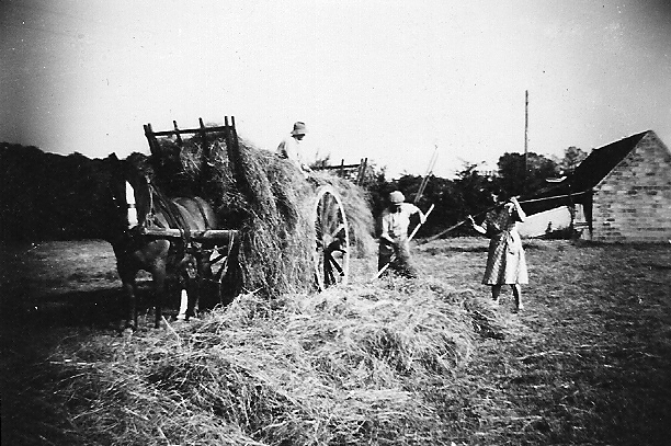 agri